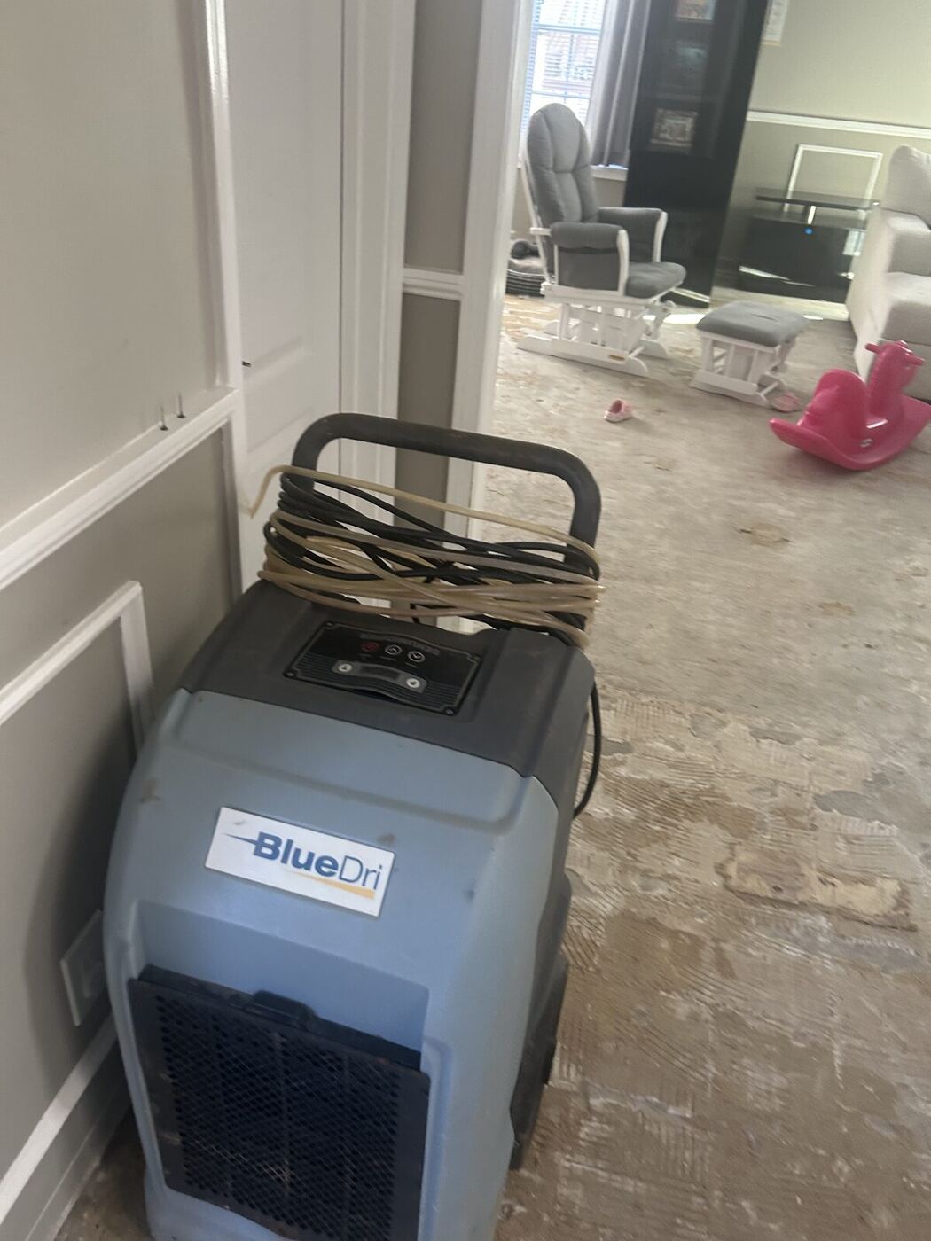 BlueDri dehumidifier running during structural drying after a flood